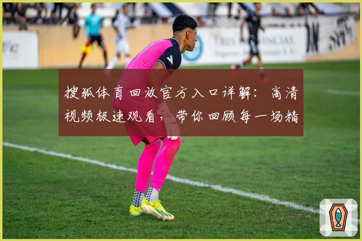 搜狐体育回放官方入口详解：高清视频极速观看，带你回顾每一场精彩赛事