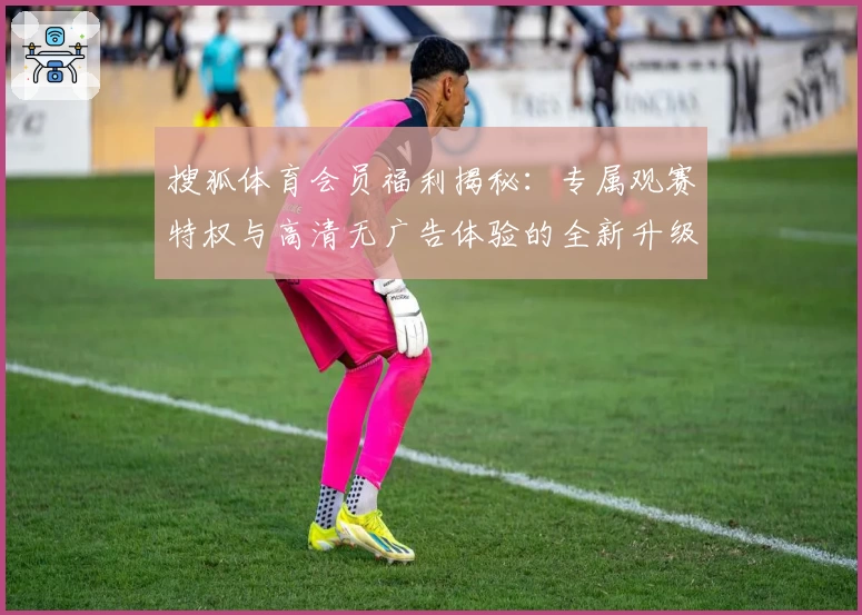 搜狐体育会员福利揭秘：专属观赛特权与高清无广告体验的全新升级