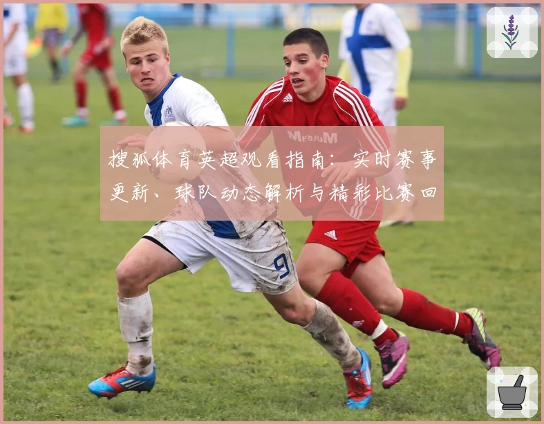 搜狐体育英超观看指南：实时赛事更新、球队动态解析与精彩比赛回顾全攻略