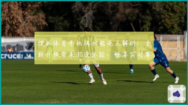 搜狐体育手机端功能亮点解析：全新升级带来沉浸体验，畅享实时赛事资讯