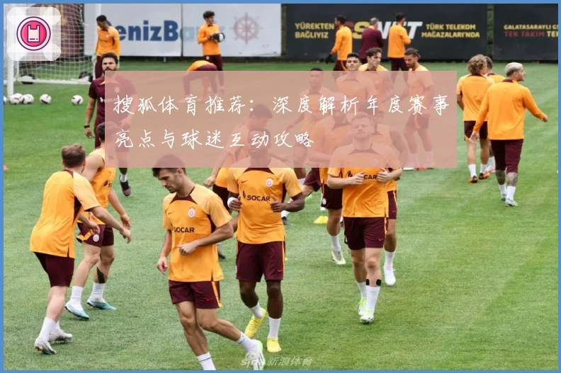 搜狐体育推荐：深度解析年度赛事亮点与球迷互动攻略