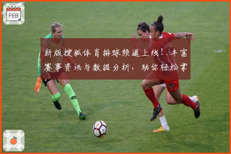 新版搜狐体育排球频道上线！丰富赛事资讯与数据分析，助你轻松掌握排球动态