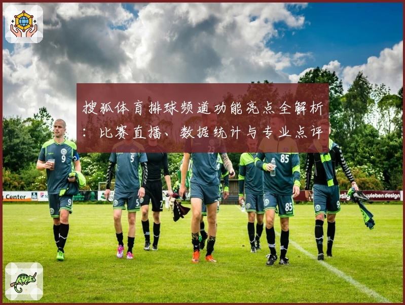 搜狐体育排球频道功能亮点全解析：比赛直播、数据统计与专业点评一站式体验