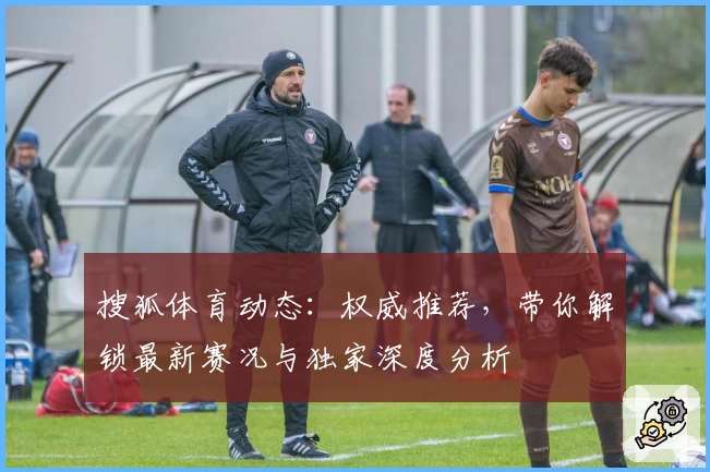 搜狐体育动态：权威推荐，带你解锁最新赛况与独家深度分析