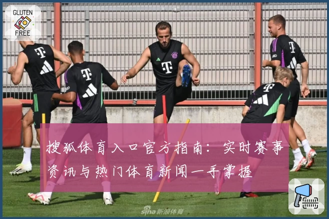 搜狐体育入口官方指南：实时赛事资讯与热门体育新闻一手掌握