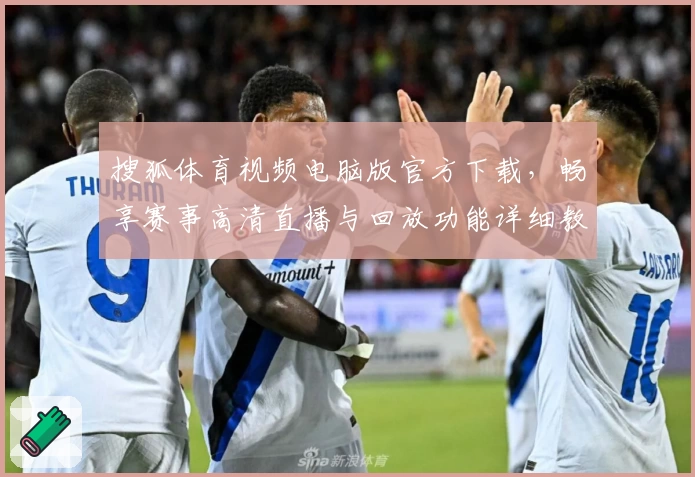 搜狐体育视频电脑版官方下载，畅享赛事高清直播与回放功能详细教程