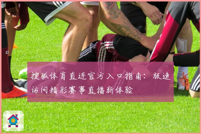 搜狐体育直连官方入口指南：极速访问精彩赛事直播新体验